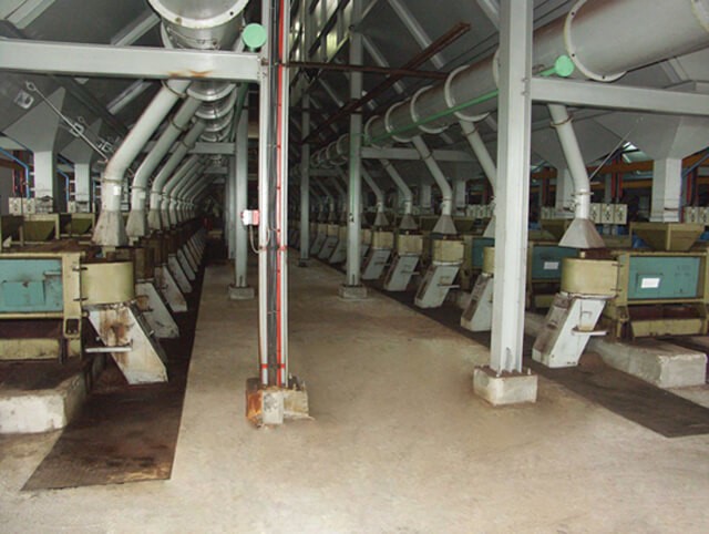 Palm oil extraction machine